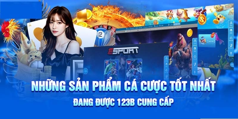 Các sản phẩm của 123B