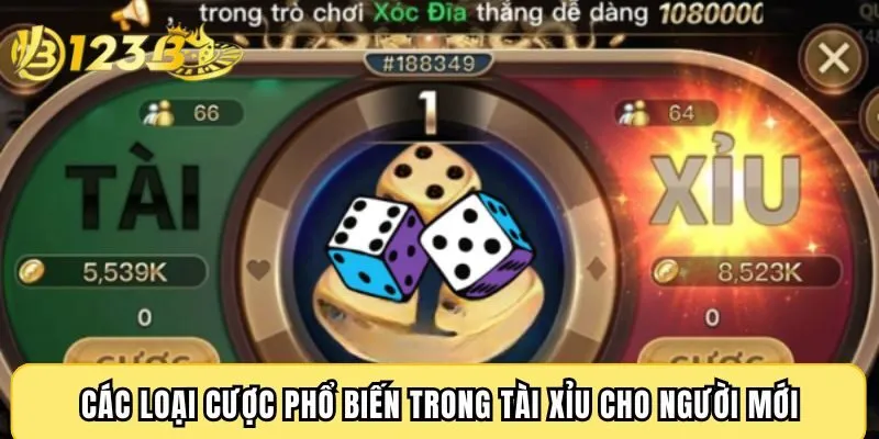 Các loại cược phổ biến trong Tài Xỉu cho người mới
