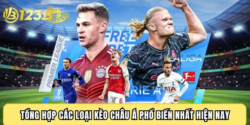 Tổng hợp các loại kèo châu Á phổ biến nhất hiện nay